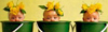 Welcome to Tubesite.com